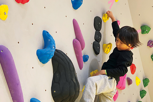 イエナプラン教育を導入した幼児教育